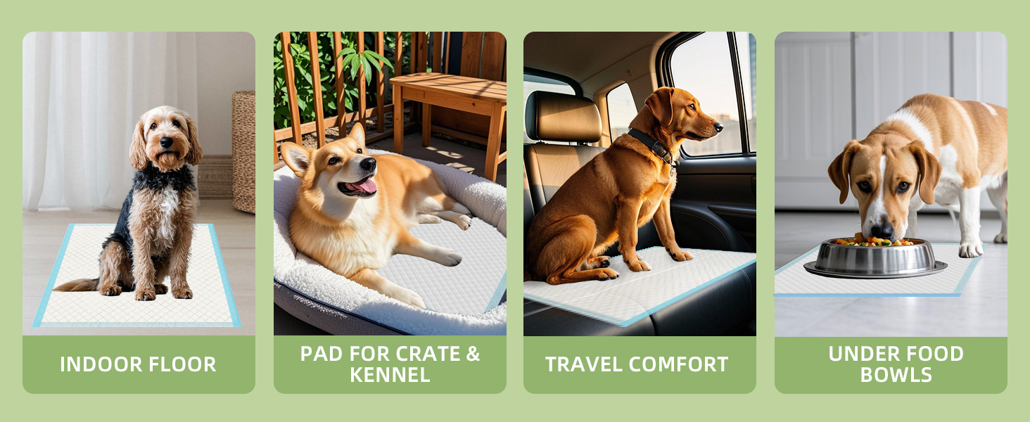 Multiple Usages Potty Pads