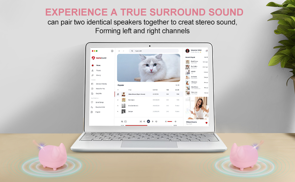 bluetooth speaker cute