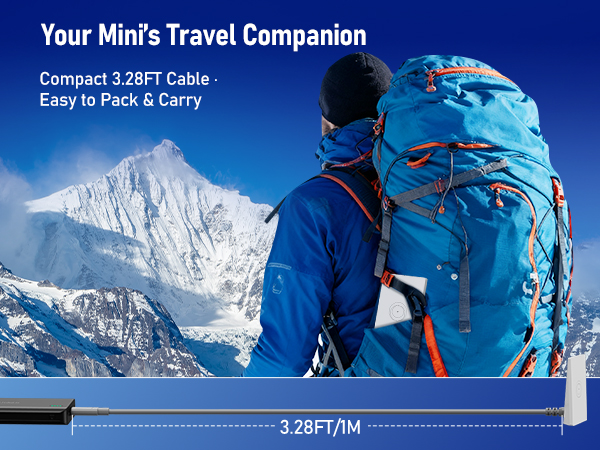 Your Mini's Travel Companion