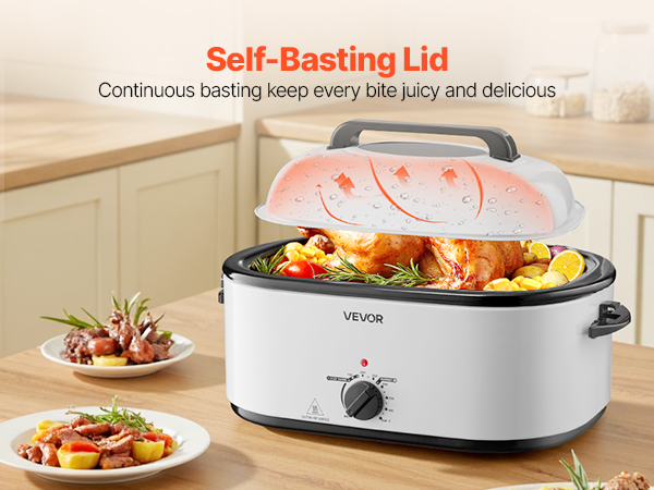 electric roasting pan with lid