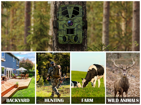 BACKYARD HUNTING FARM WILD ANIMALS