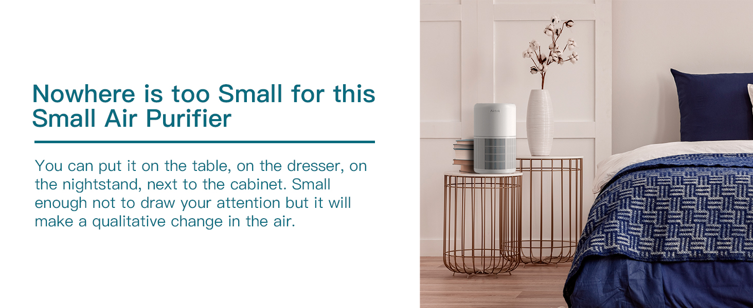 air purifier