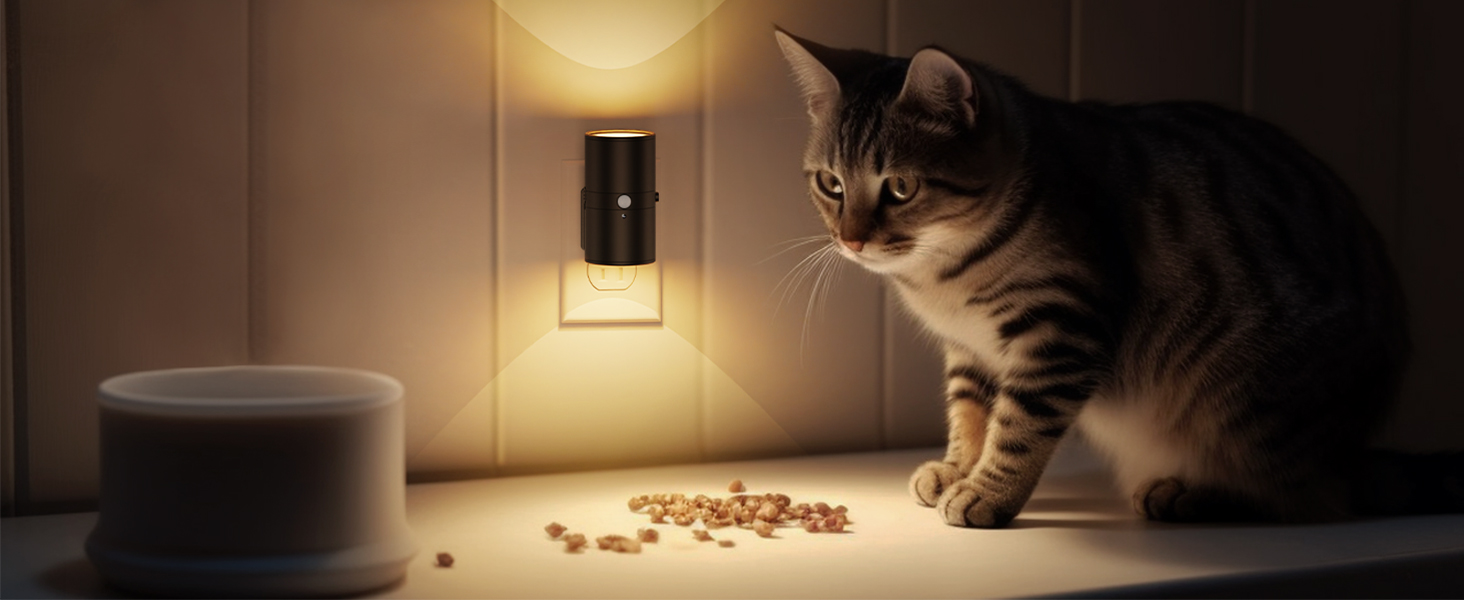 Motion Sensor Night Light