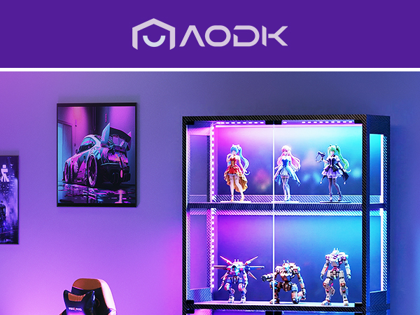 display case