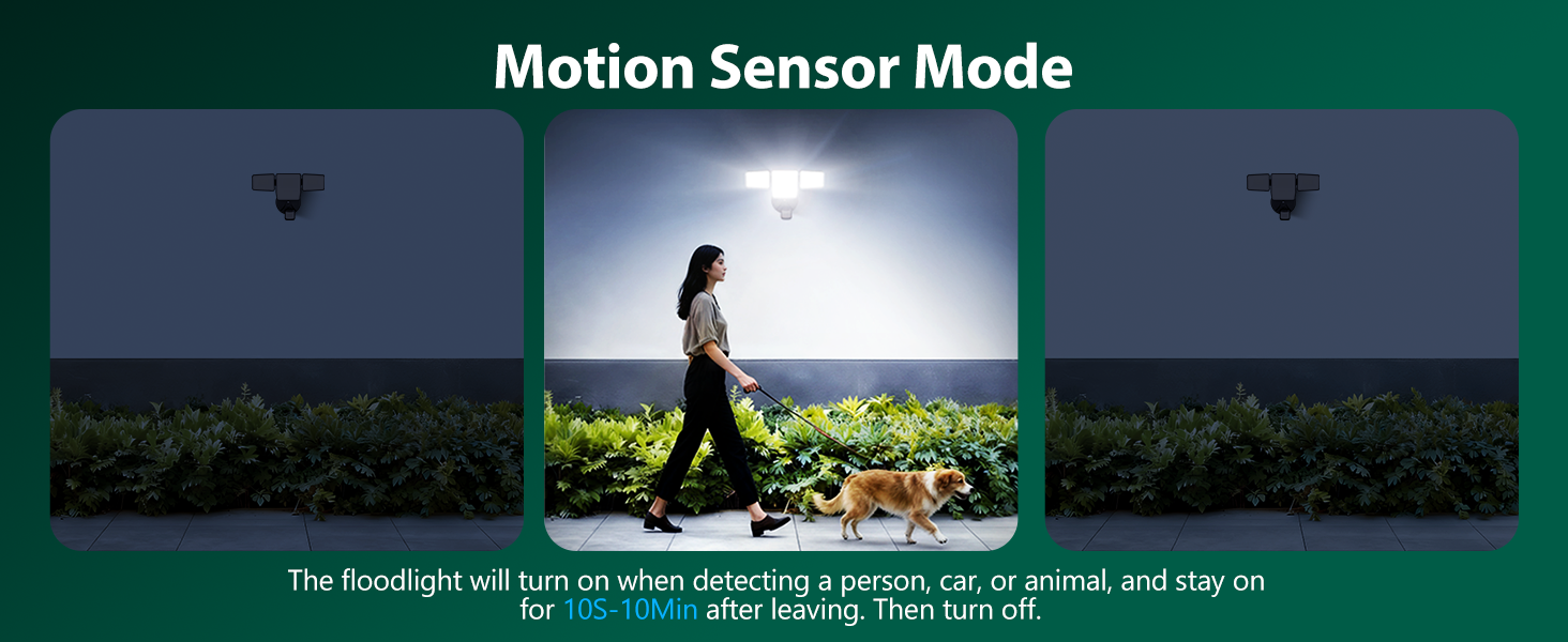 motion sensor
