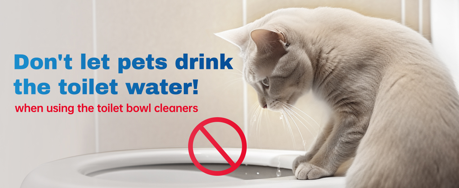Toilet Bowl Cleaners