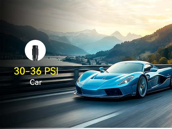 Portable Tire Inflator for Car