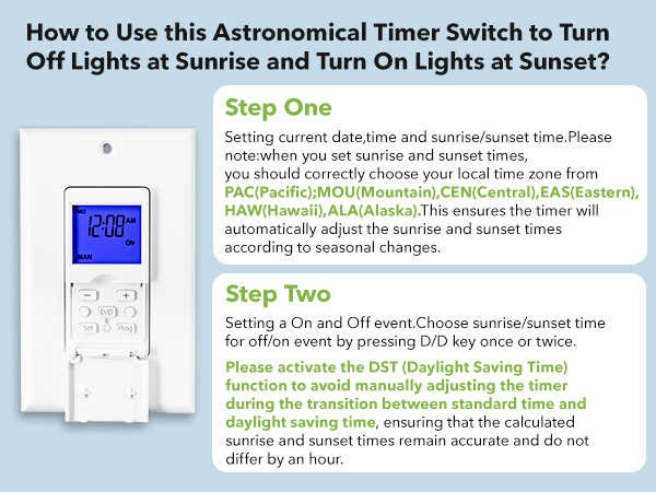 programable in wall timer switch