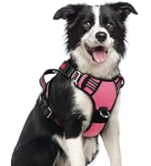rabbitgoo Dog Harness Medium Sized, No Pull Dog Vest with 3 Buckles, Adjustable Soft Padded Pet H...