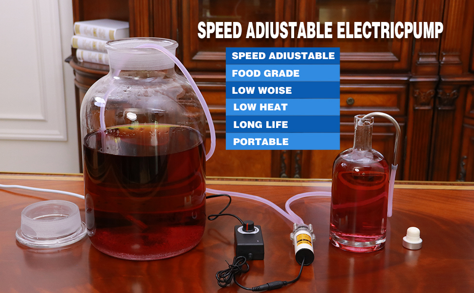 Speed Adjustalbe Electric Pump