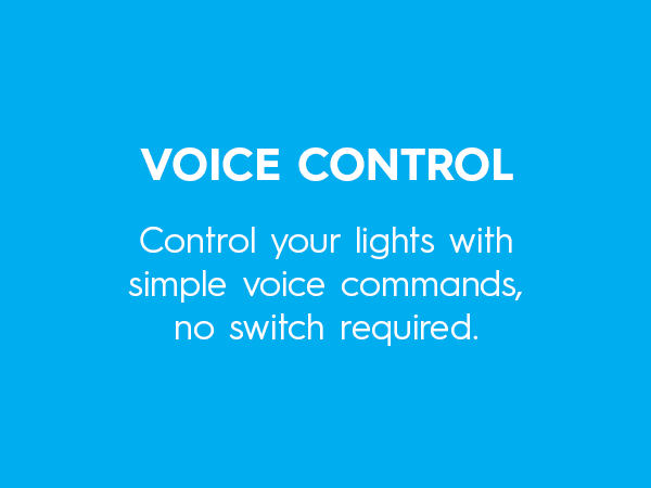 voice control