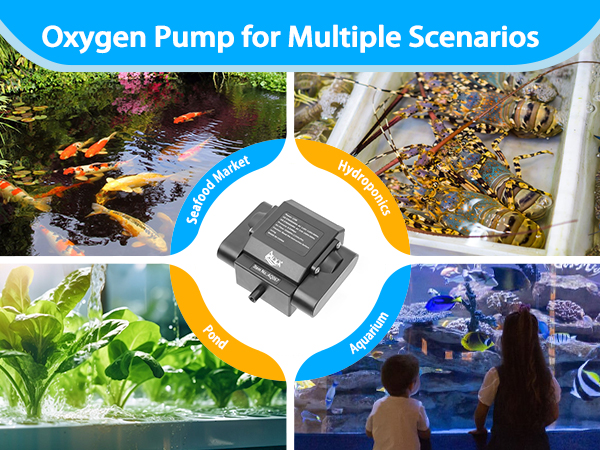 aquarium air pump