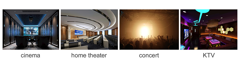 SPEAKER BANANA PLUGS