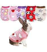 RISESAILS Ultra-Small Pet Winter Clothes, 5-Piece Luxuriously Soft Coral Fleece Set, XS Size for ...