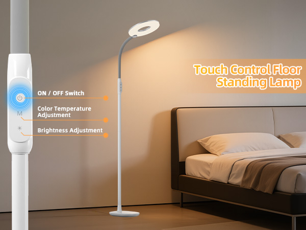 Touch Control Floor Lamp