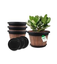 https://m.media-amazon.com/images/S/aplus-media-library-service-media/03d9595a-b2f6-4e60-b662-970974b4516d.__CR0,0,800,900_PT0_SX200_V1___.png