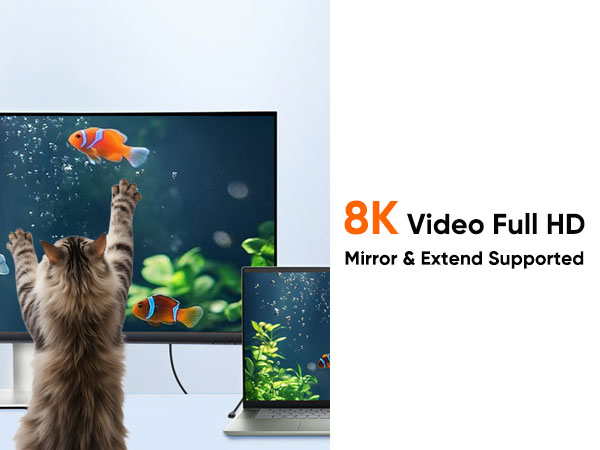 USB C to video cable