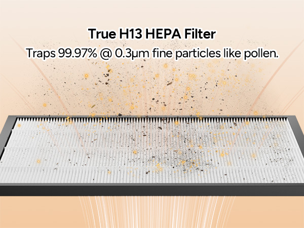 air purifier hepa