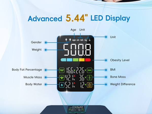 body fat scale weight scale with body fat and muscle bmi scales digital weight and body fat
