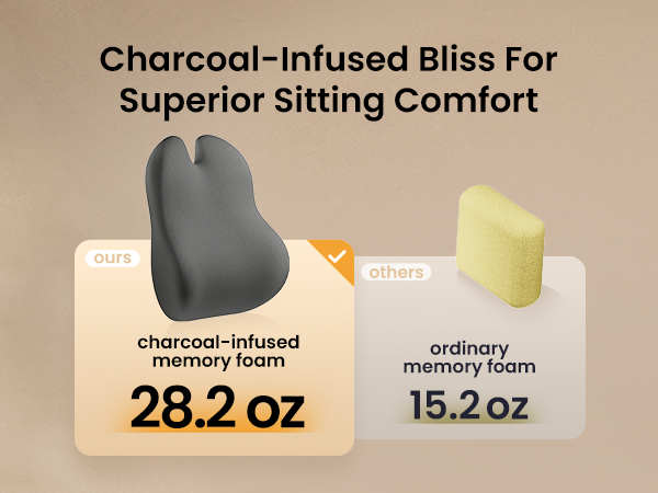 lumbar support pillow