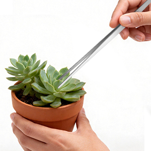 plant tweezers for succulent