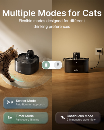 wireless cat water fountain