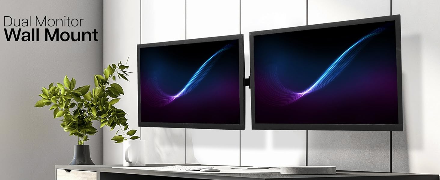 dual wall mount