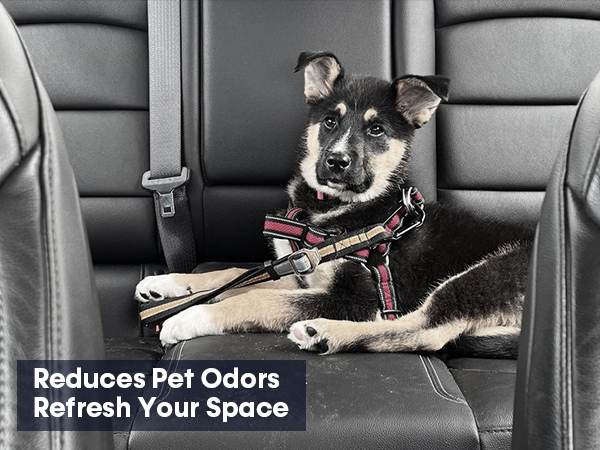 odor eliminator for car