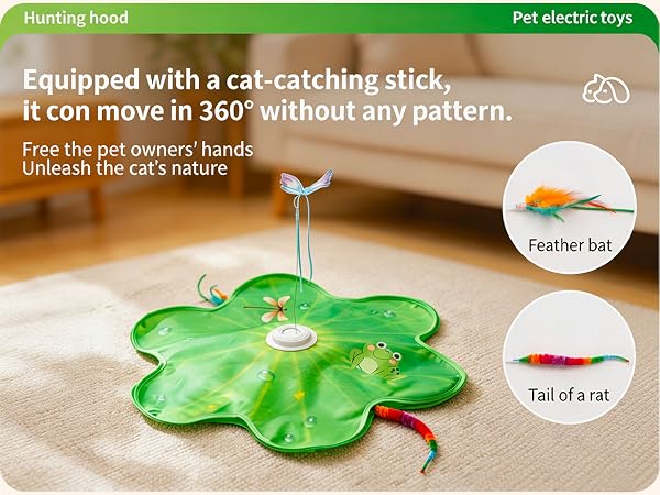 Pet toy