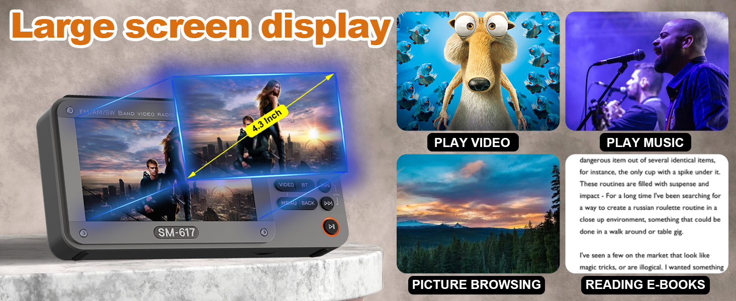 AM FM SW Video Radio