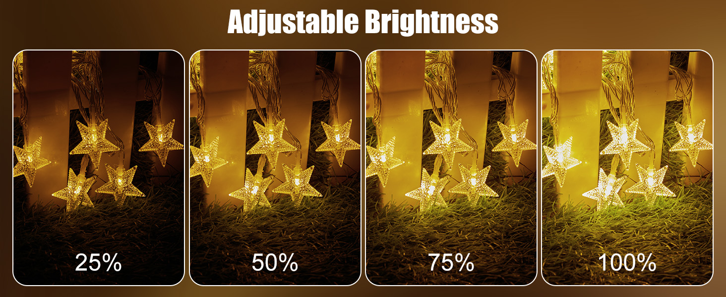 33 ft 100 LED Star Fairy String Lights