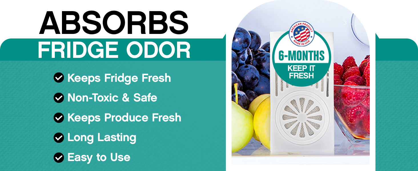 air order absober freshener refresher remover fresheners freshner desodorante refrigerador