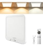 OSIDEN Rechargeable Motion Sensor Ceiling Light Wireless Closet Light with Remote 3 Color Dimmabl...