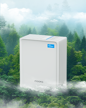 air purifiers for home