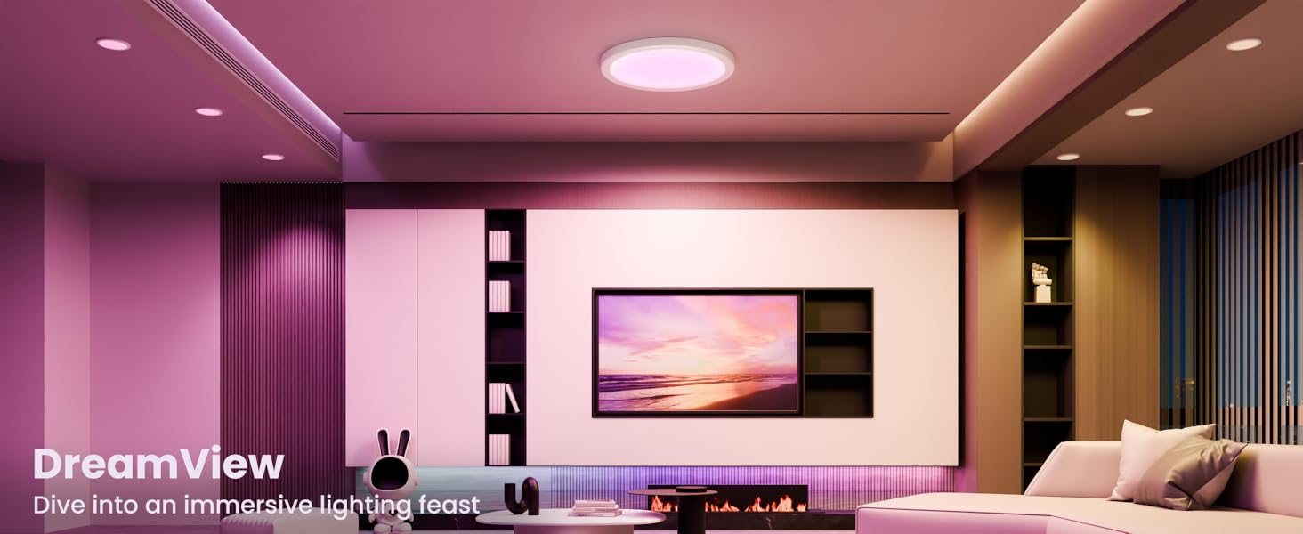 Smart Ceiling Light