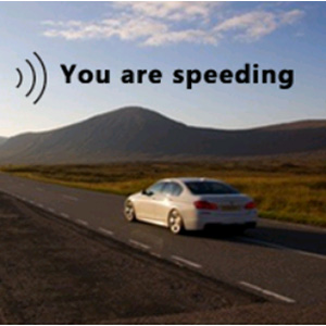 Voice broadcast function