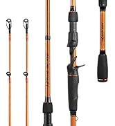 KastKing Lethal Blaze Twin-Tip Fishing Rods, IM6 Graphite Blanks Casting &amp; Spinning Rods, 2-Piece...