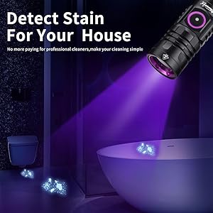 Premium House Cleaning Helper