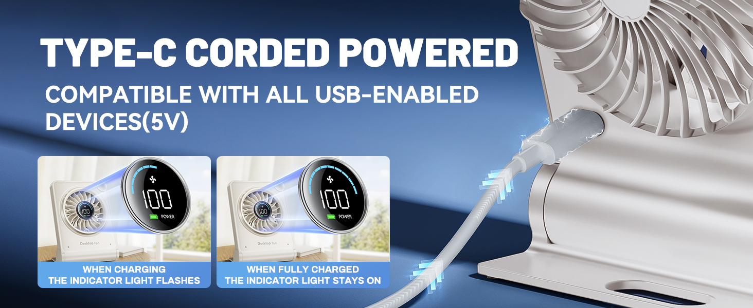 Type-C Charging Port