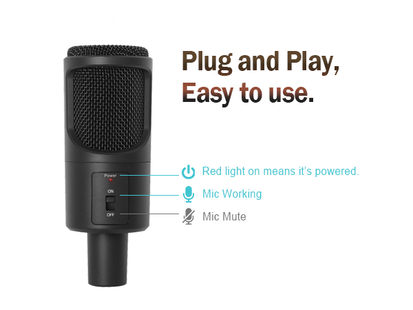 noise cancelling microphone