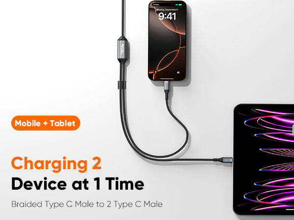 Type C Male to Type C*2 Male cable