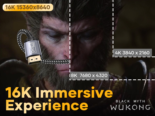 16K Immersive Experience