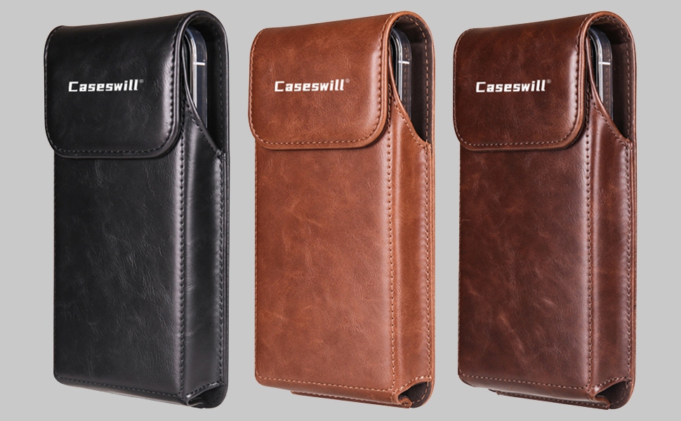 caseswill-01