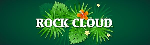 ROCK CLOUD flower