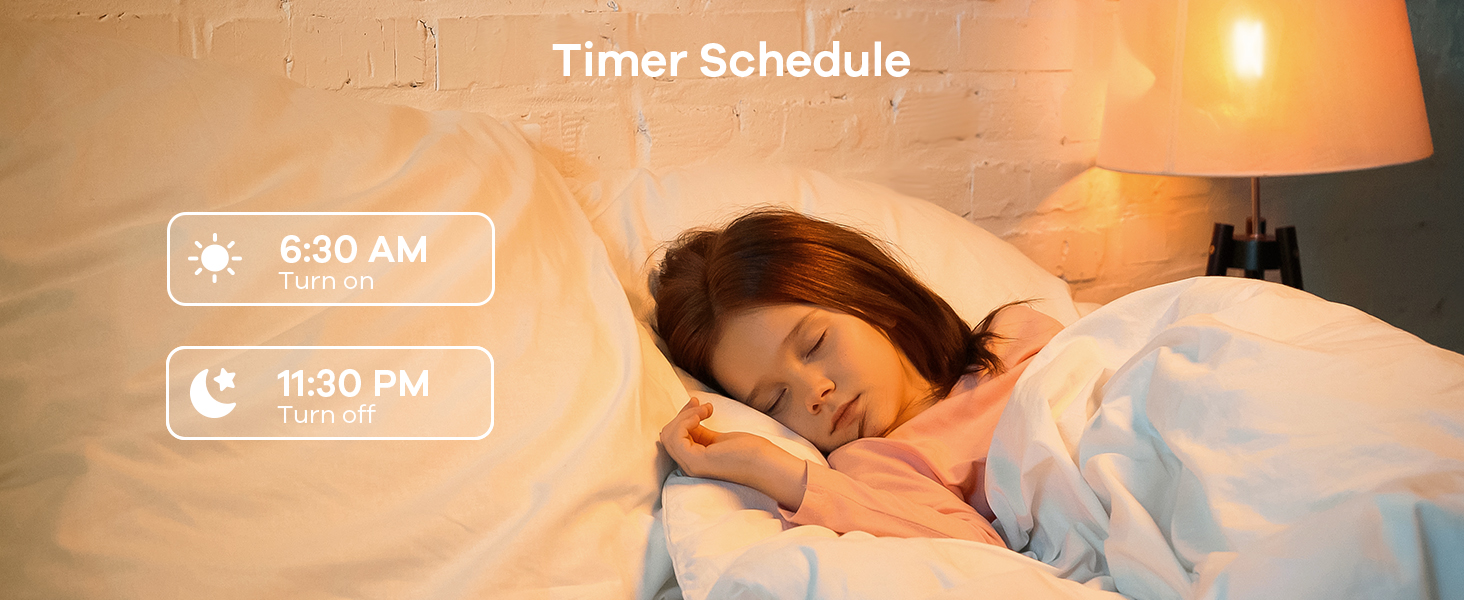 time schedule