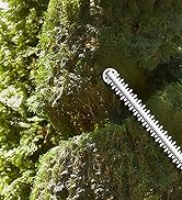 cordless bush trimmer with battery