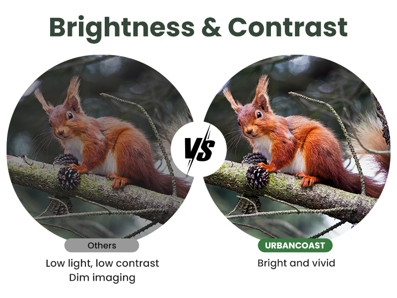 Brightness &amp; Contrast