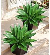 Ivydale Fake Plants 18 Inch Agave Artificial Plants Outdoor 2 PCS for Outside Decoration, Faux Gr...