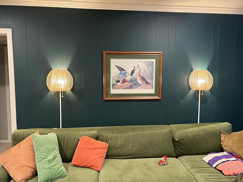 cord hider,cord covers for wires on wall,cable hider,wire covers for cords on wall,cable management