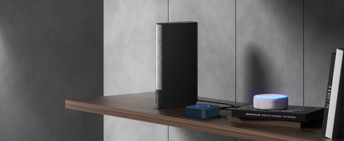 Works with Echo (Alexa) and Google Home